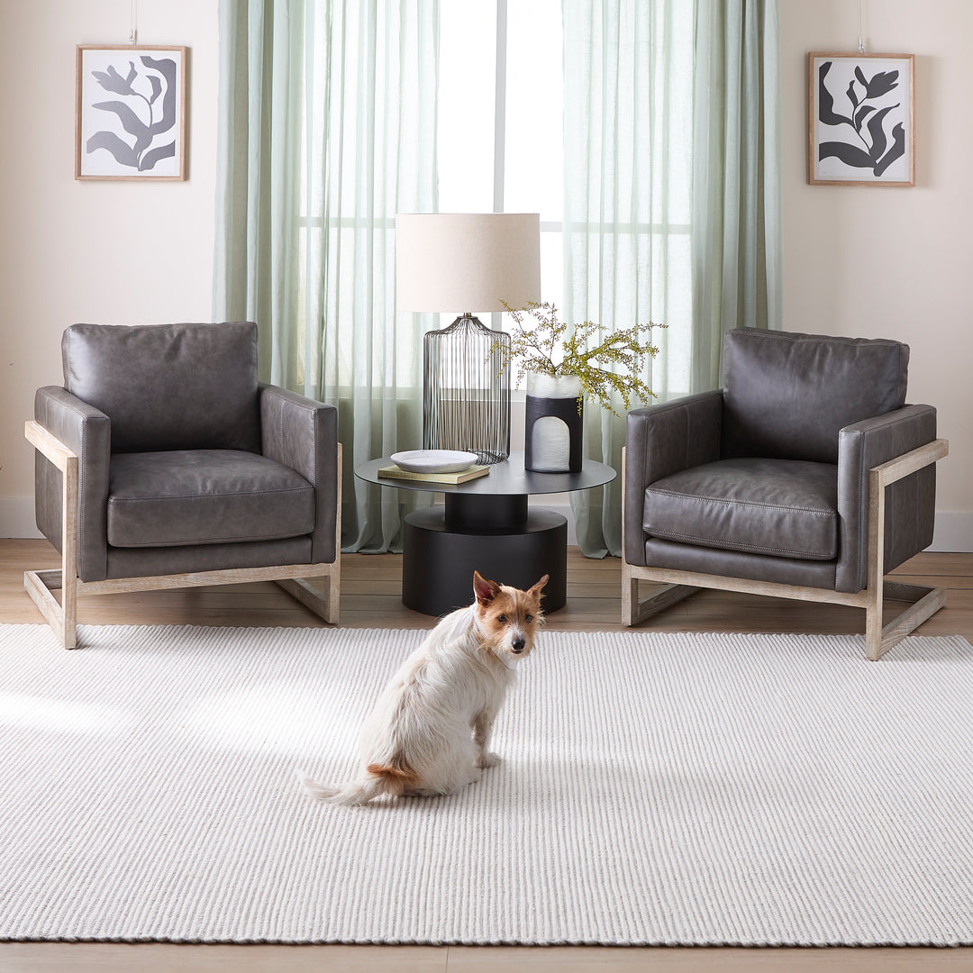 Less Mess, More Living: Lavin's Collection of Pet and Kid Friendly Rugs