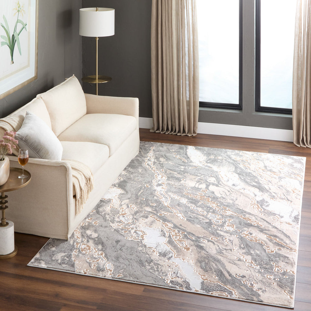 Besni Gray Marbled - T4006 - 2' x 3'